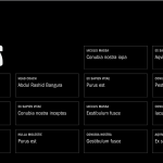 screenshot 2026 04 03 at 21.39.03